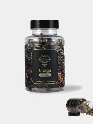Chaga Extract – 120 Capsules